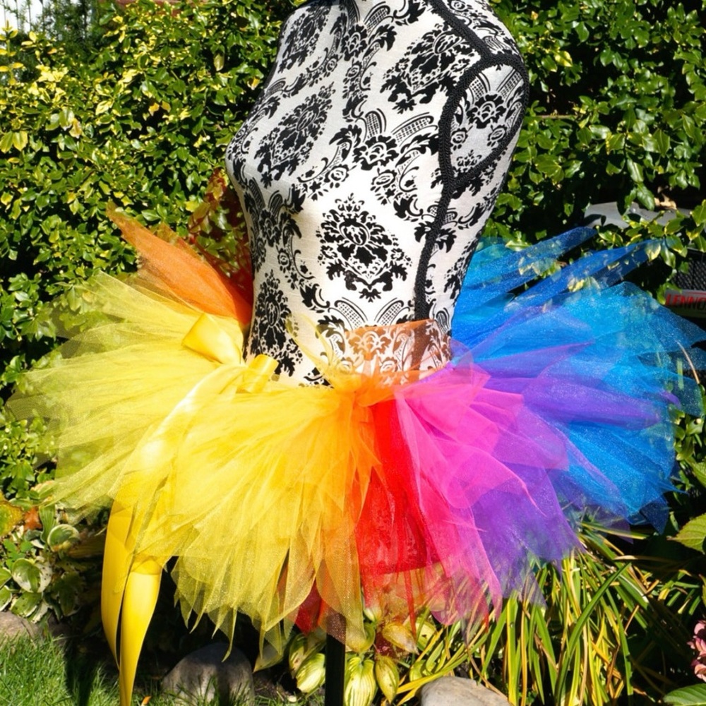 Womens multi-color tu-tu (Up Movie Costume)